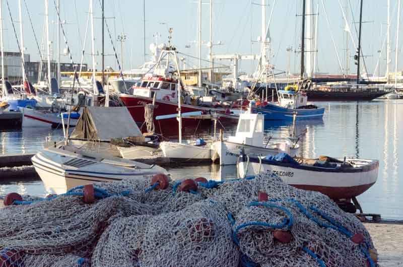 Mallorca - Palma 123 - puerto pescadores.jpg